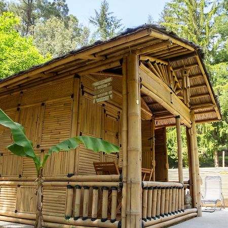 Suite Bambou Bien-Etre A Bali - Le Soleil Des Cevennes Saint-Jean-du-Gard Exteriér fotografie