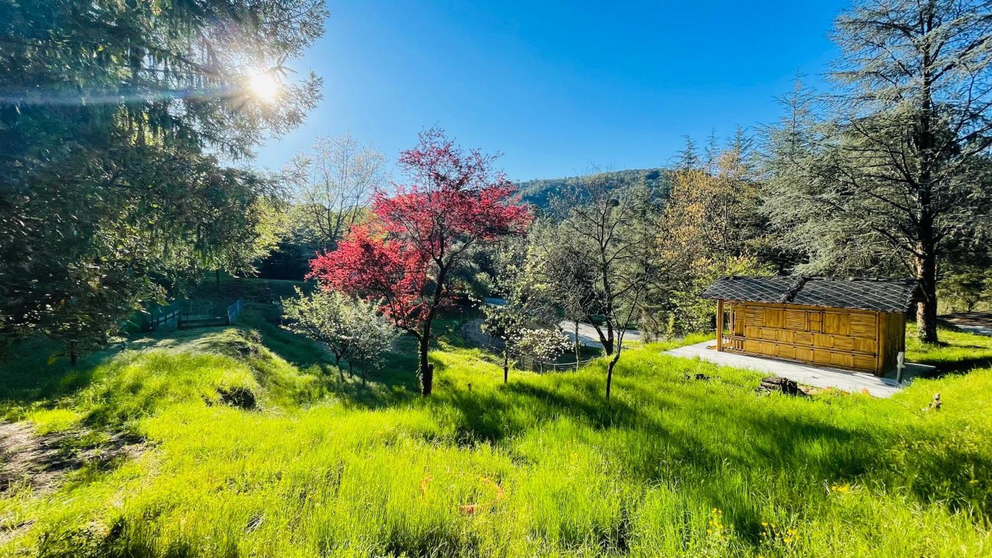 Suite Bambou Bien-Etre A Bali - Le Soleil Des Cevennes Saint-Jean-du-Gard Exteriér fotografie